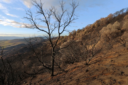 Atlas Peak
Napa, California