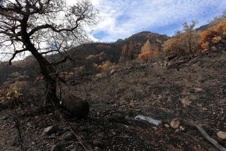 Soda Canyon Road
Napa, California