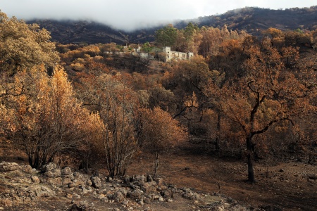 Soda Canyon Road
Napa, California