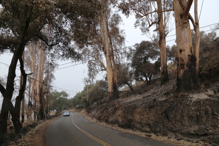 Atlas Peak Road
Napa, California