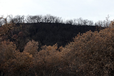 Soda Canyon Road
Napa, California