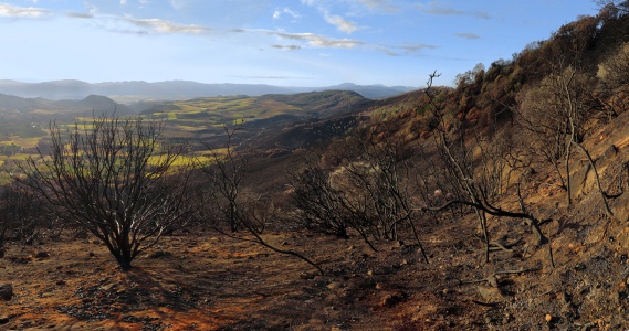 Atlas Peak
Napa, California