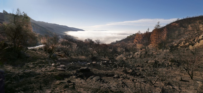 Soda Canyon
Napa, California