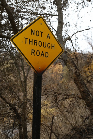 Soda Canyon Road
Napa, California