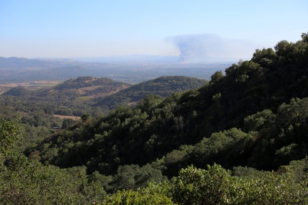 Prelude
Wrecking Yard Fire
(Within 12 hours all of the trees in this photo would be burned)
3:00pm Oct 8th