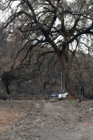 Soda Canyon Road
Napa California
Dec 10th