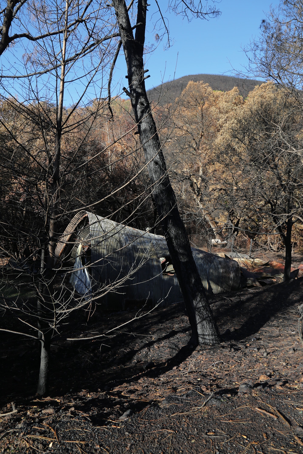 bill-hocker-after-the-fire-soda-canyon-road-napa-california-2017