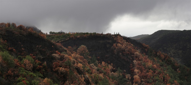 After the Fire
Rector Canyon
Napa, California