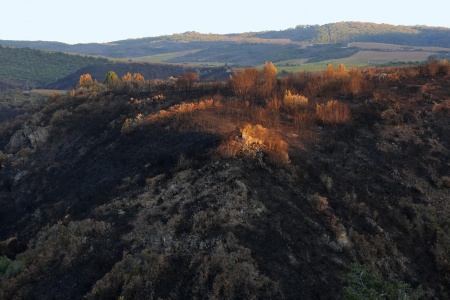 Rector Canyon
Napa, California
