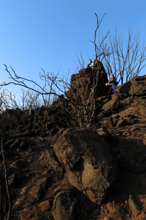 Atlas Peak
Napa, California