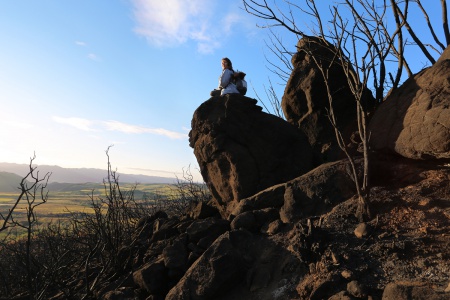 Shiloh
Atlas Peak
Napa, California