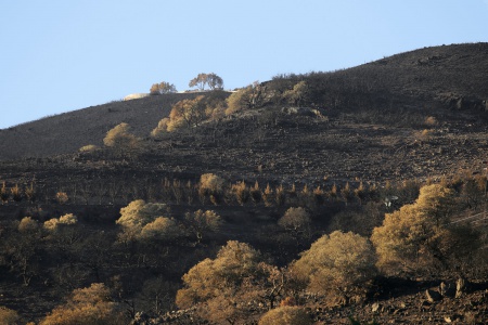 Soda Canyon Road
Napa, California