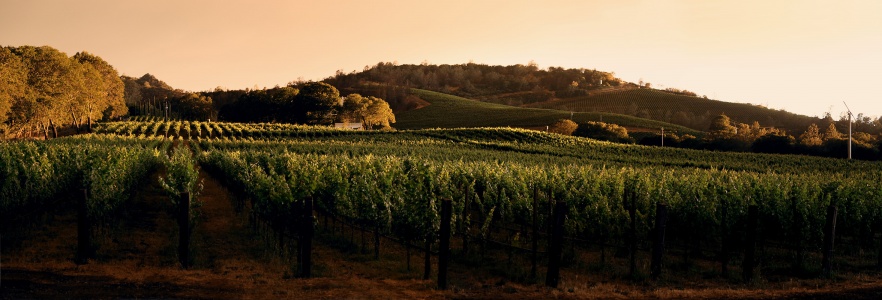 Mountain Peak Estate
Napa County, California