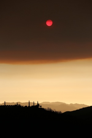 Rector Canyon, fire cloud
Napa County, California
July 