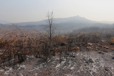 Atlas Peak
Napa, California