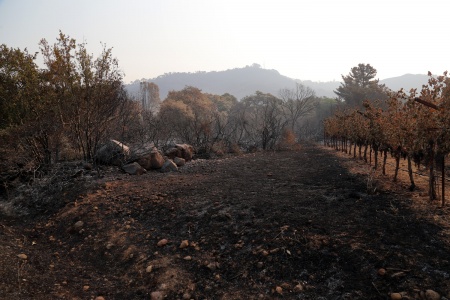 The end of the road
Atlas Peak
Napa, California