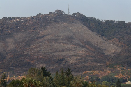 Atlas Peak
At the end of Soda Canyon Road
Napa, California