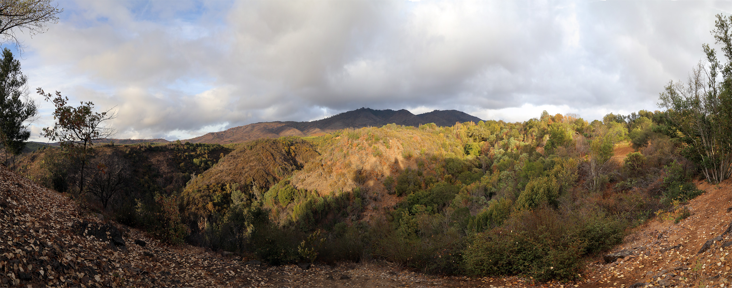 bill-hocker-atlas-peak-napa-california-2020