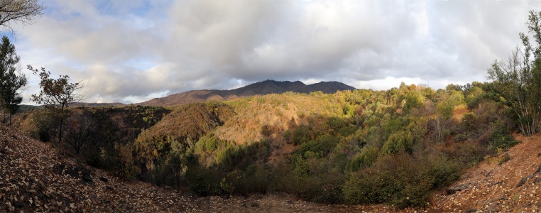 Atlas Ridge, Rector Canyon
Napa County, California