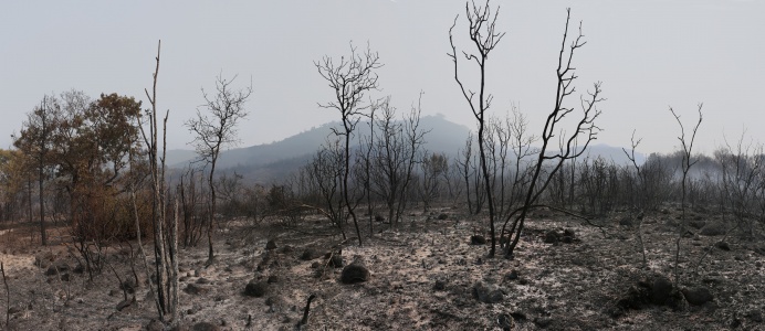 Atlas Peak
Napa, Caifornia, August 24