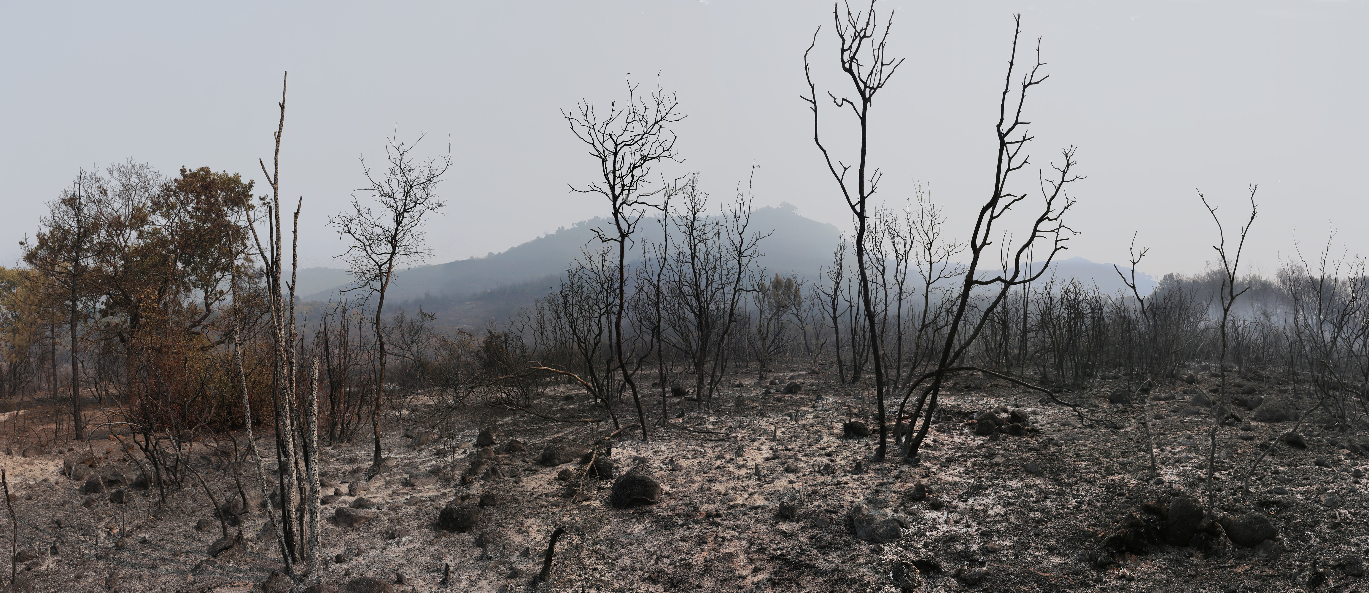 bill-hocker-atlas-peak-napa-caifornia-august-24-2020