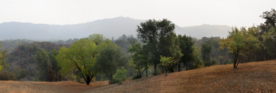 Atlas Peak Ridge
from Twin Brook Farm
Napa County, California