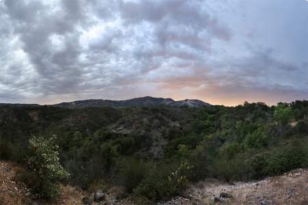 Atlas Ridge, Rector Canyon
Napa County, California