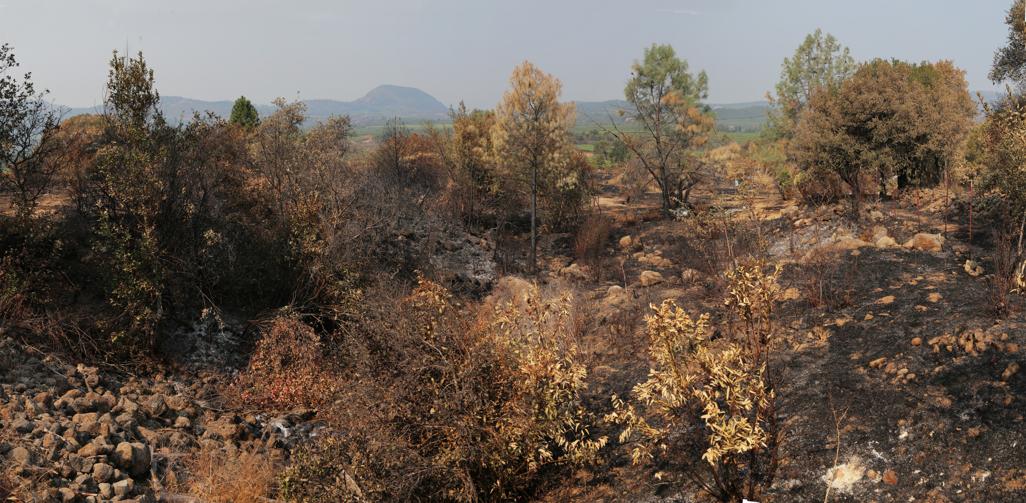 bill-hocker-haystack-form-manfree-farm-napa-california-2020