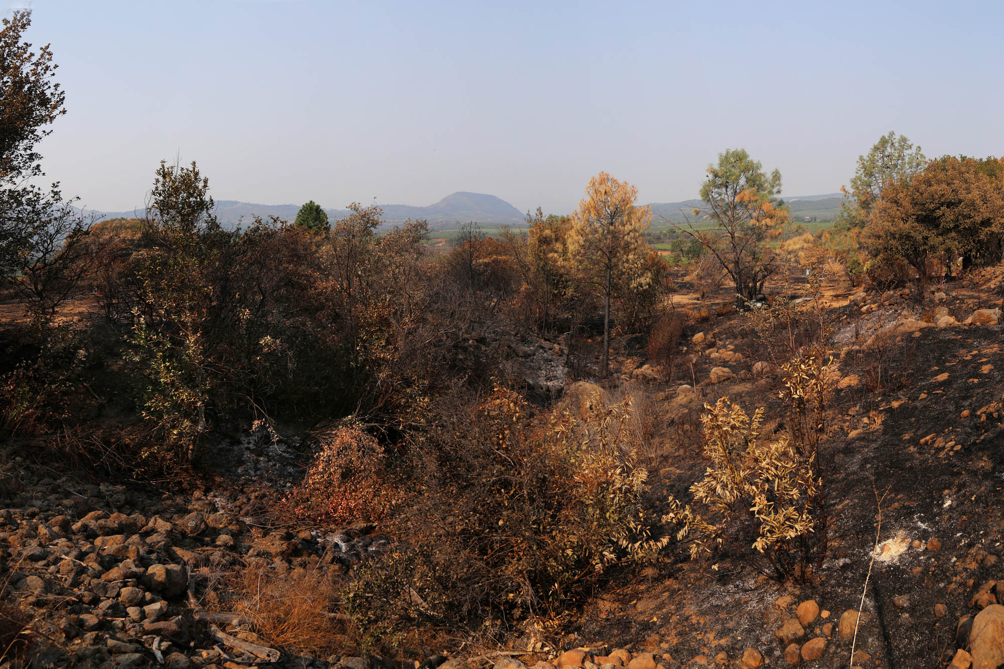 bill-hocker-haystack-form-manfree-farm-napa-california-2020
