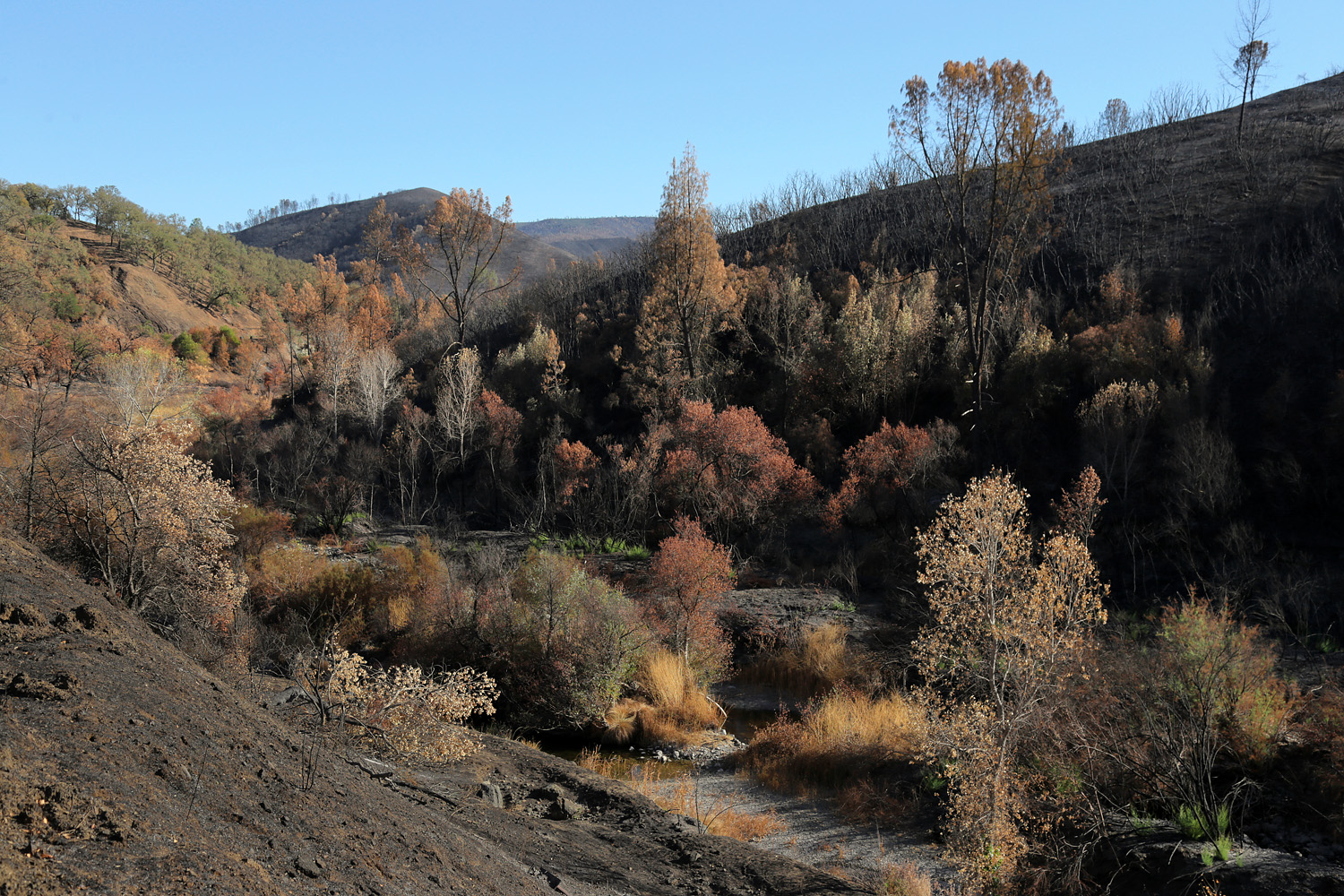 bill-hocker-near-lake-berryessa-napa-county-california
