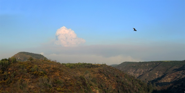 Glass Fire from Rector Canyon
Napa, California