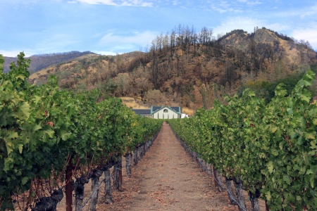 Venge Winery after Glass Fire
Napa Valley, California