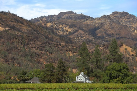 Eastern Hills after Glass Fire
Napa Valley, California