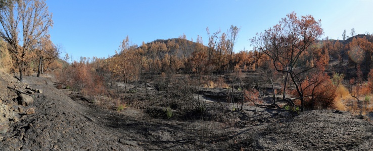 Pope Creek
Near Lake Berryessa
Napa County, California