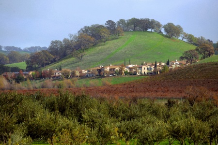 Suburbs Invade Rural Solano
Suisun Valley
Salano County, California