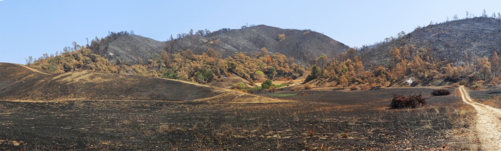 Lower Chiles Valley
Napa County, California