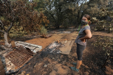 Amber at the Manfree Property
Soda Canyon Road
Napa, California
