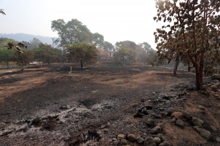 Manfree Property
Soda Canyon Road
Napa, California