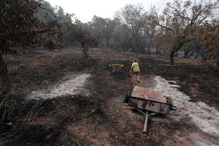 Manfree Property
Soda Canyon Road
Napa, California