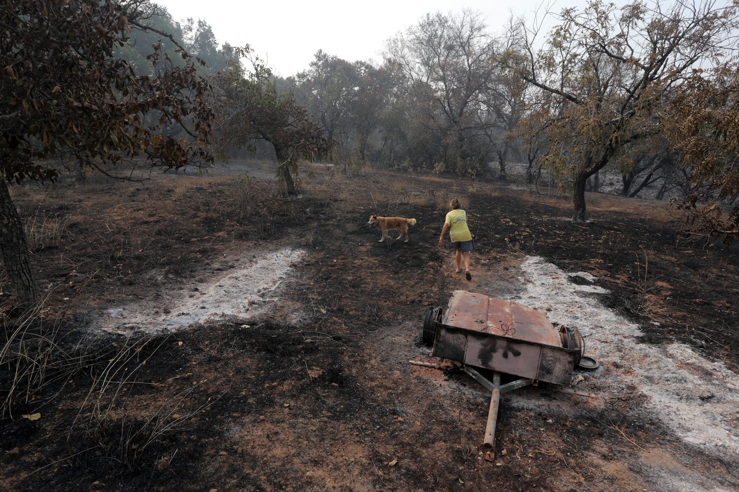 bill-hocker-manfree-property-soda-canyon-road-napa-california-2020