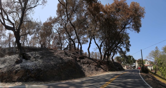 Nichelini Winery after the Hennessey Fire
Napa County, California