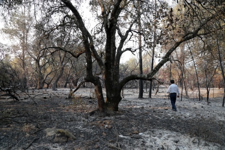 Soda Canyon Road Residence
Napa, California