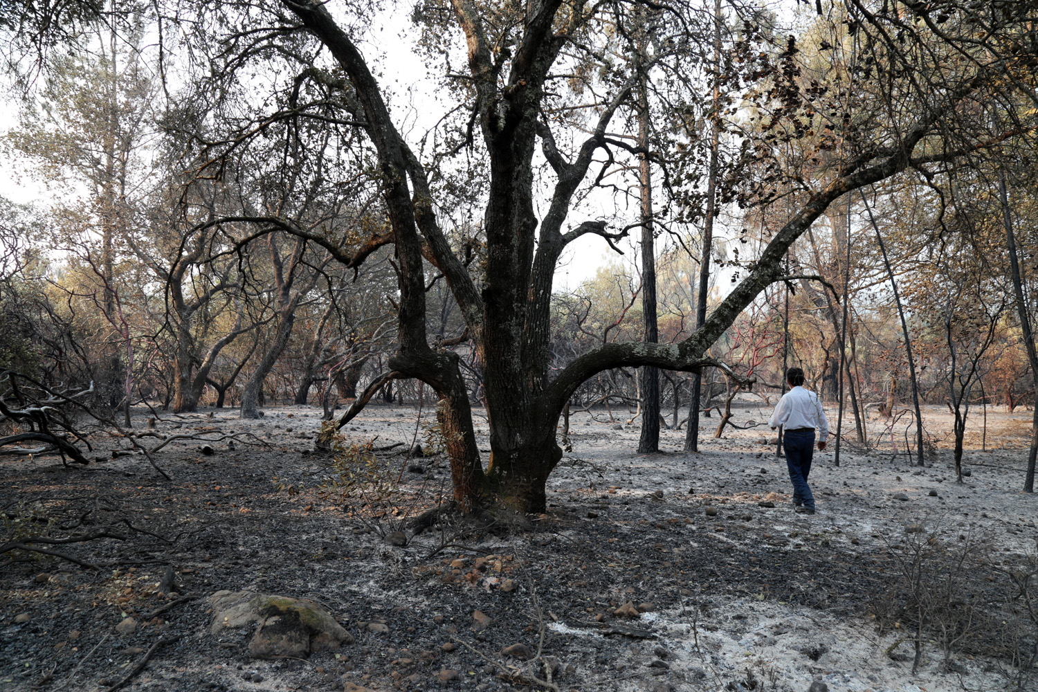 bill-hocker-soda-canyon-road-residence-napa-california-2020