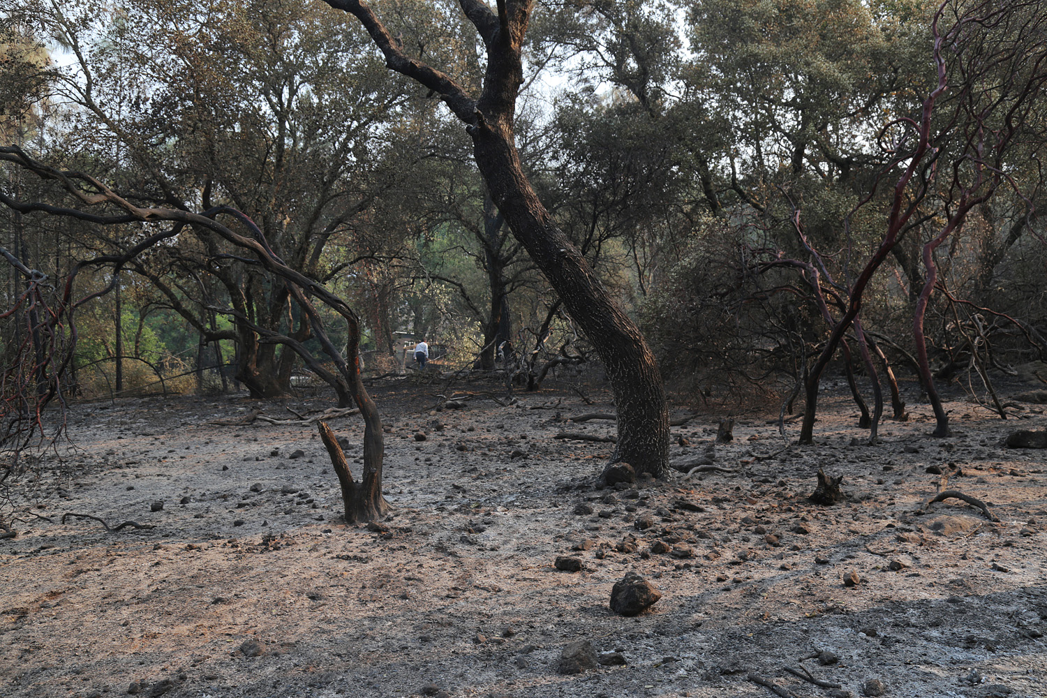 bill-hocker-soda-canyon-road-residence-napa-california-2020