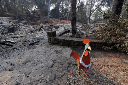 Survivor
Soda Canyon Road Residence
Napa, California