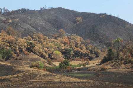 Lower Chiles Valley
Napa County, California