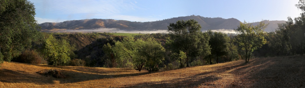 Atlas Ridge
Twin Brook Farm
Napa County, California