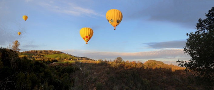 From Twin Brook Farm
Napa County, California