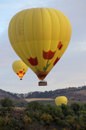 Balloon Landings
From Twin Brook Farm
Napa County, California