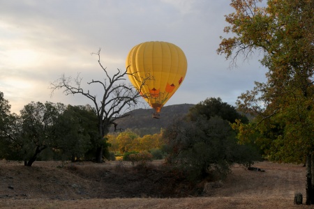 Balloon Reconnaissance
Twin Brook Farm
Napa County, California